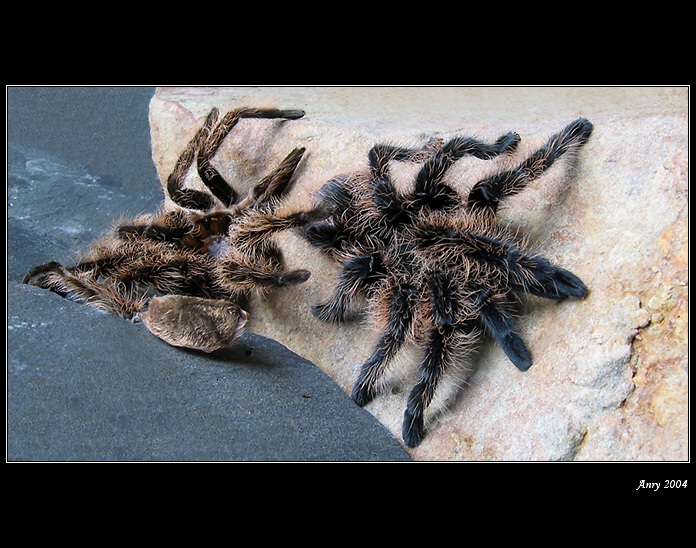 Tak jsem se na to jaro převlíkl