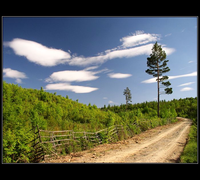Ve vojenském