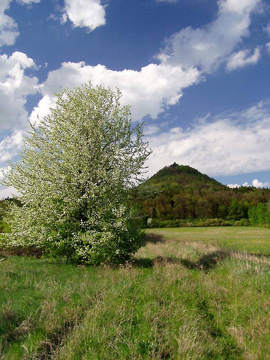 Pozdní jarní odpoledne pod Ronovem