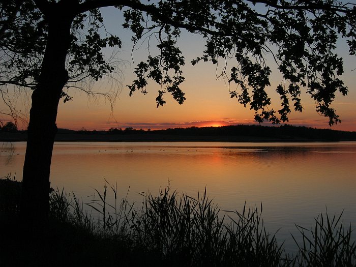 Tálínský rybník