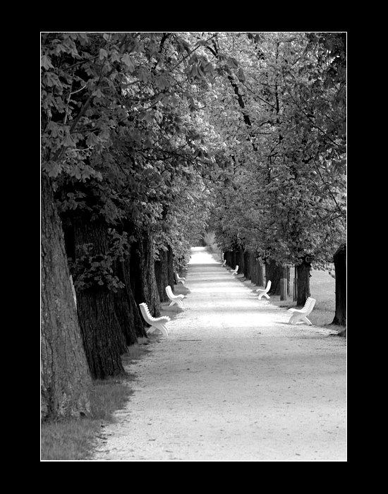 ::lány::