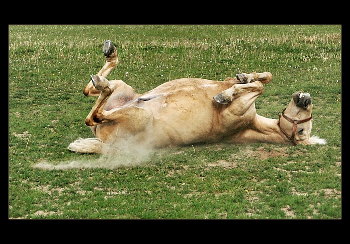 ....poškrabkání....