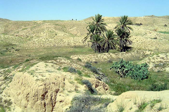 Sahara