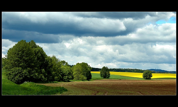 Podzvičinsko