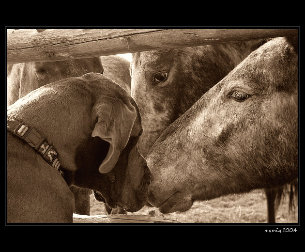... důvěrný rozhovor