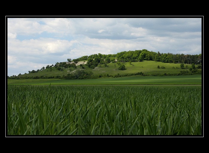 Oškobrh