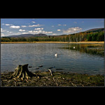 Od Koňského rybníka...