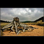 Ošlehaný větrem a bouřemi....