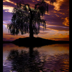 <b> - APOCALYPSA - </b>