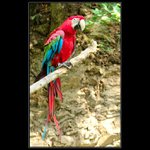 :: BIRD2 ::