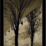 ...... alter ego 1.  .....