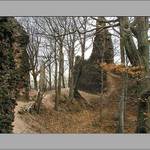 Zřícenina hradu <b>Bradlec</b>