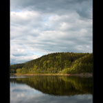 Vír