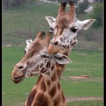 Jeden za osmnáct...