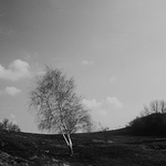 Jarni fotka