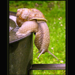 ...tý jo, to je výška...