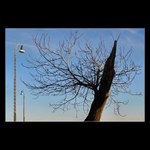 <i>... pozdní odpoledne na nádraží v Šatově</i>