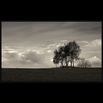 <b>.."DO ROKA A DO DNE"..