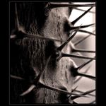 <b>.."Na druhý pohled...DO DUŠE"..