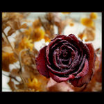 <b>:.KOUZELNÁ MOC.: