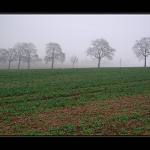 Mlžná krajina Krušnohoří