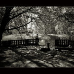 Nálada nedělního odpoledne