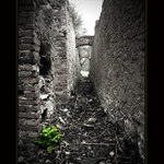 Naděje z melancholie...