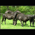 Vzájemnost je všechno