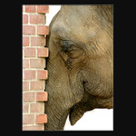 * PROČ MĚ JENOM OPUSTILA? *