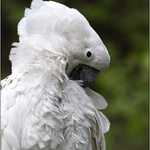 Dobrý den všem :o)