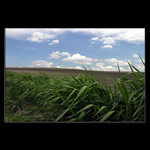 <b>Tam kdesi u cesty...</b>