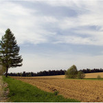 <B>cesta u Hájku</B>