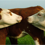 víš co mi můžeš.........