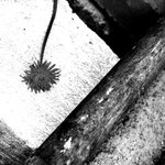 <b>.[.kontrasty.].</b>