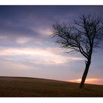 Když jde slunce spát III