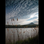 <b>Podvečer u rybníka</b>