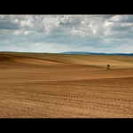 ukážeme myslivcům dlouhý nos ...