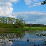 Novořecké močály