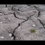 <b>Vítězství života</b>