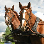 Tvař se příjemně! Fotí nás!