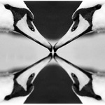 "Abstraction"
