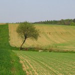 Krajina