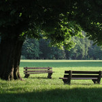 Čekání na kolemjdoucí...