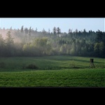 Po večerním dešti