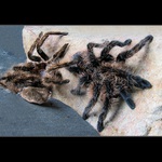 Tak jsem se na to jaro převlíkl