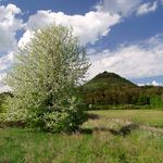 Pozdní jarní odpoledne pod Ronovem