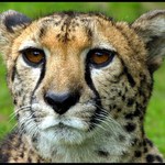 Jsem rozhodně rychlejší než....