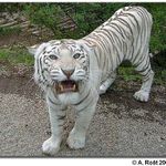 návštěva v ZOO