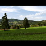 Šumava II.  - šumavští velikáni