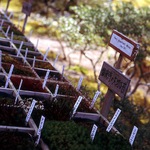 Veľmi dôležitý mach<br>Very Important Moss